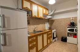 Apartament 2 camere, 50 mp, terasa 20 mp, zona Lidl Bucium