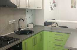 Apartament de vanzare cu 2 camere, 40 mp, zona Palas 