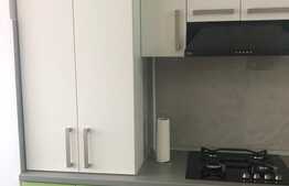 Apartament de vanzare cu 2 camere, 40 mp, zona Palas 