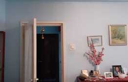 Apartament 2 camere, RENOVABIL, semidecomandat, zona Mircea cel Batran