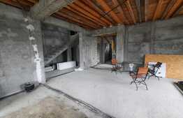 Casa si spatiu comercial de 270 mp utili, Pietrarie