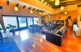 Vila moderna de 298 mp utili, 1000 mp de teren, Bucium