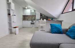 Apartament 2 camere, decomandat, 50 mp, Valea Adanca