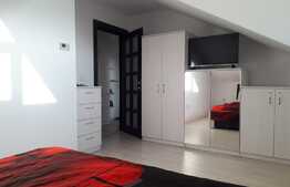 Apartament 2 camere, decomandat, 50 mp, Valea Adanca