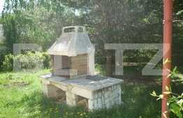 Case de vacanta la munte, 11 camere, 12.500 mp teren, in Agapia