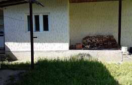 Case de vacanta la munte, 11 camere, 12.500 mp teren, in Agapia