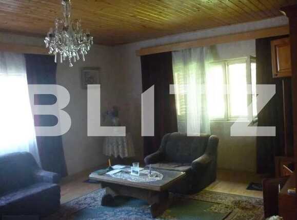 Casa de vânzare 11 camere Exterior Vest - 82293CV | BLITZ Iași | Poza6