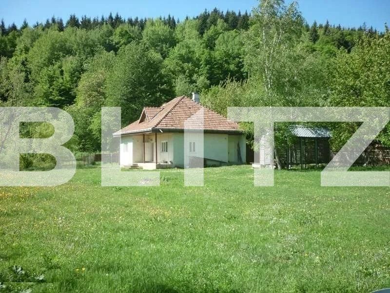 Casa de vânzare 11 camere Exterior Vest - 82293CV | BLITZ Iași | Poza4
