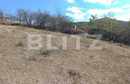 Teren de 2000 mp, front 38 ml, sat Vladiceni