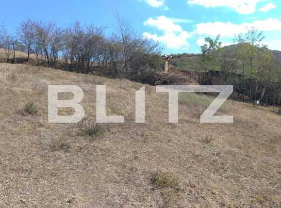 Teren de vânzare Tomesti - 82301TV | BLITZ Iași | Poza2