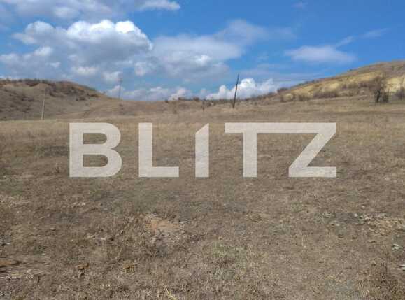 Teren de vânzare Tomesti - 82301TV | BLITZ Iași | Poza1