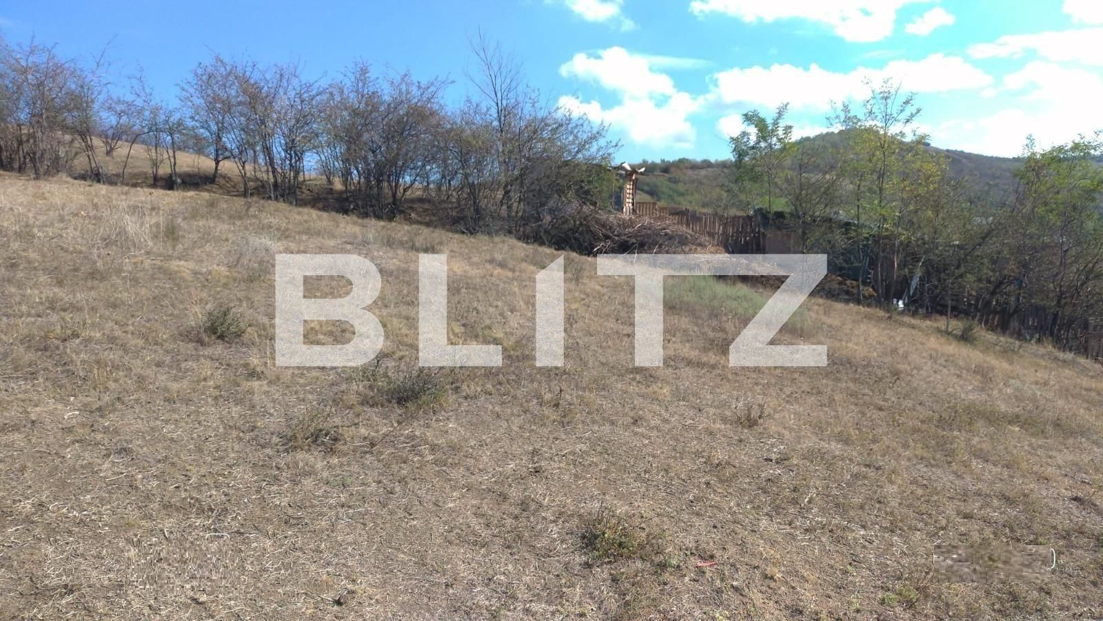 Teren de vânzare Tomesti - 82301TV | BLITZ Iași | Poza2