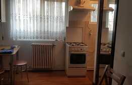 Garsoniera de 26 mp, terasa, zona Podu Ros