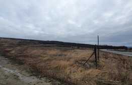 Teren REZIDENTIAL intravilan 15800 mp, zona Sorogari 