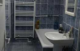 Apartament de 2 camere, 50 mp, zona Frumoasa