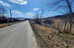 Teren 3600 mp intravilan, front 43 ml, CF, CU, Vorovesti