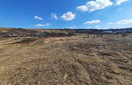 Teren 3600 mp intravilan, front 43 ml, CF, CU, Vorovesti