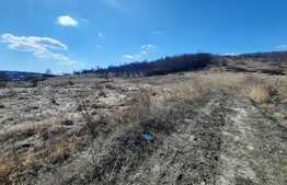 Teren 3600 mp intravilan, front 43 ml, CF, CU, Vorovesti