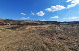 Teren 3600 mp intravilan, front 43 ml, CF, CU, Vorovesti