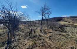 Teren 3600 mp intravilan, front 43 ml, CF, CU, Vorovesti