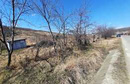 Teren 3600 mp intravilan, front 43 ml, CF, CU, Vorovesti