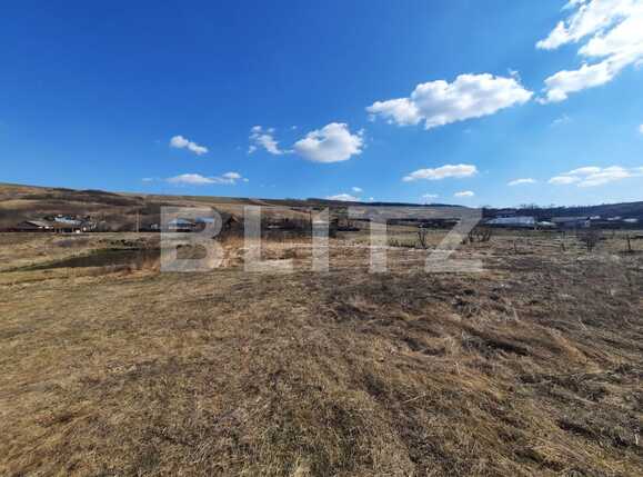 Teren de vânzare Vorovesti - 82637TV | BLITZ Iași | Poza2