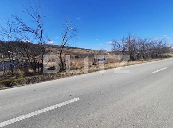 Teren de vânzare Vorovesti - 82637TV | BLITZ Iași | Poza3