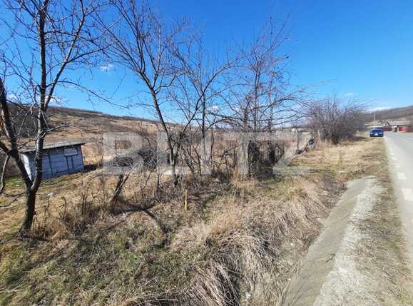 Teren de vânzare Vorovesti - 82637TV | BLITZ Iași | Poza5