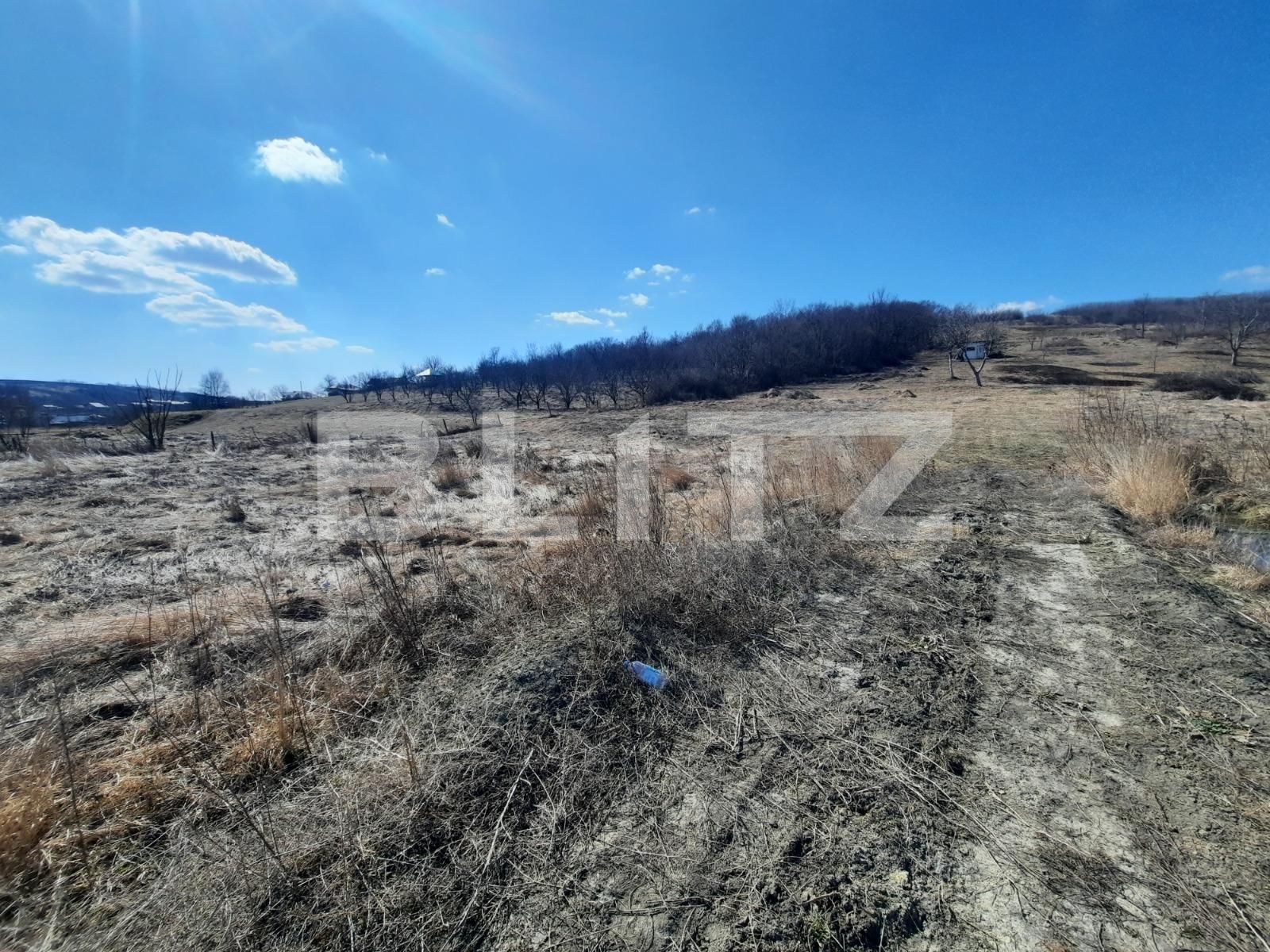 Teren de vânzare Vorovesti - 82637TV | BLITZ Iași | Poza7