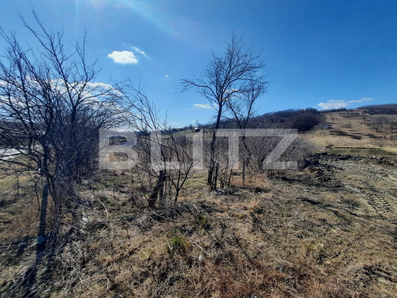 Teren de vânzare Vorovesti - 82637TV | BLITZ Iași | Poza6