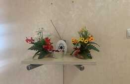 Apartament luminos, decomandat, 2 dormitoare, zona Nicolina