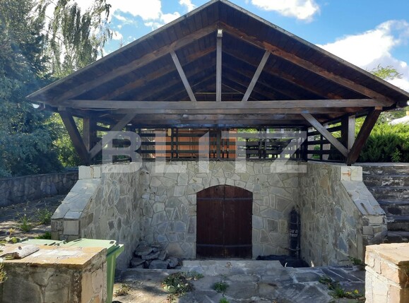 Casa de vânzare 13 camere Exterior Vest - 82889CV | BLITZ Iași | Poza6