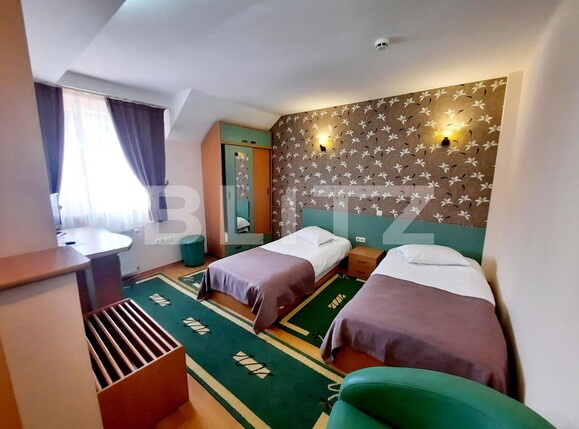 Casa de vânzare 13 camere Exterior Vest - 82889CV | BLITZ Iași | Poza9