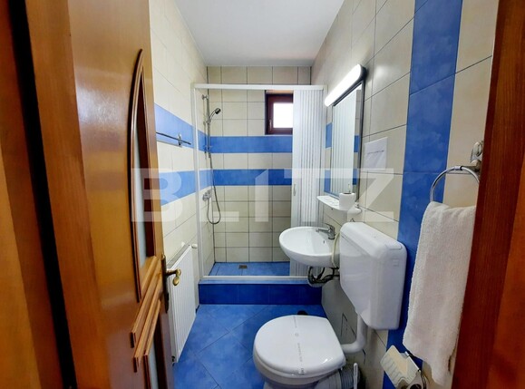 Casa de vânzare 13 camere Exterior Vest - 82889CV | BLITZ Iași | Poza12