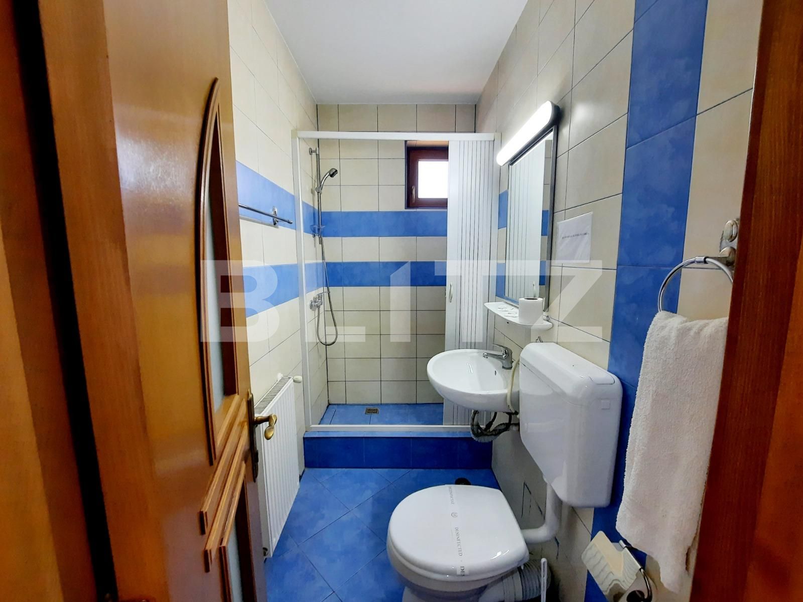 Casa de vânzare 13 camere Exterior Vest - 82889CV | BLITZ Iași | Poza12