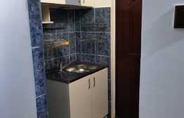 Garsoniera de 16 mp, mobilata, zona Nicolina 