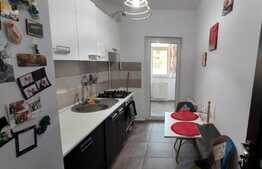 Apartament de 1 camera la cheie, 39 mp, zona Visani 
