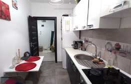 Apartament de 1 camera la cheie, 39 mp, zona Visani 