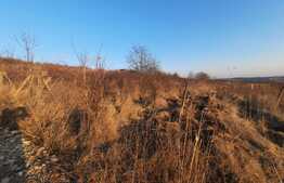 Teren intravilan 700 mp, Copou-Viticultori