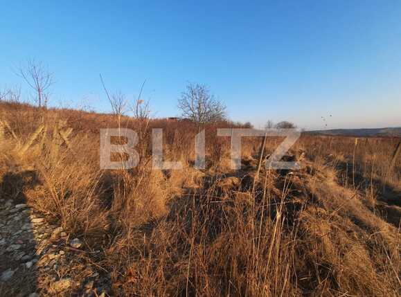 Teren de vânzare Viticultori - 83244TV | BLITZ Iași | Poza3