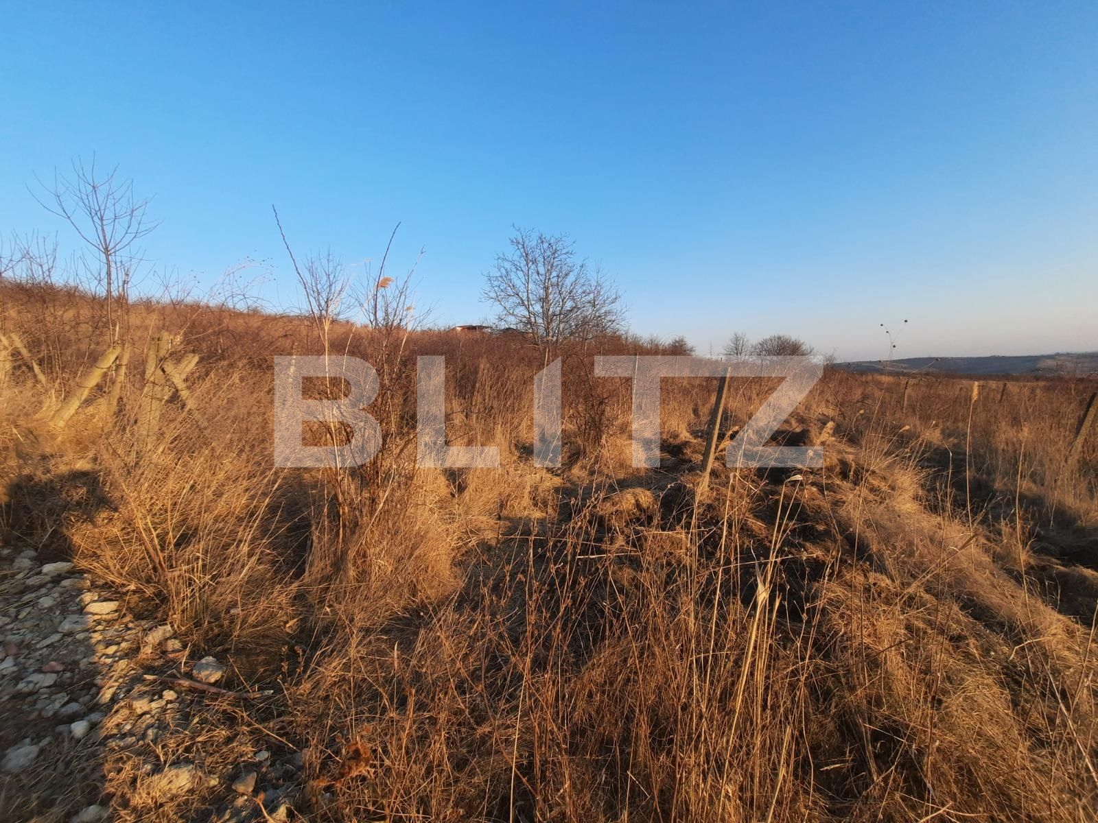 Teren de vânzare Viticultori - 83244TV | BLITZ Iași | Poza3