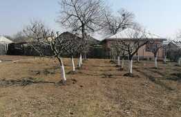 Casa deosebita, la strada, toate utilitatile, Letcani 