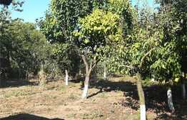 Casa deosebita, la strada, toate utilitatile, Letcani 