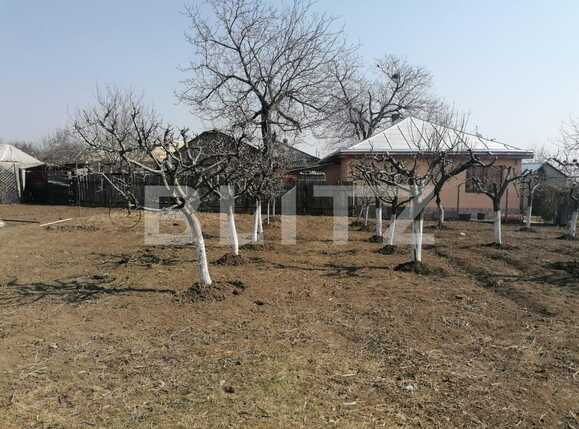 Casa de vânzare 5 camere Vest - 83247CV | BLITZ Iași | Poza6