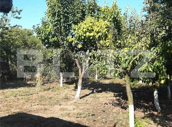 Casa de vânzare 5 camere Vest - 83247CV | BLITZ Iași | Poza7