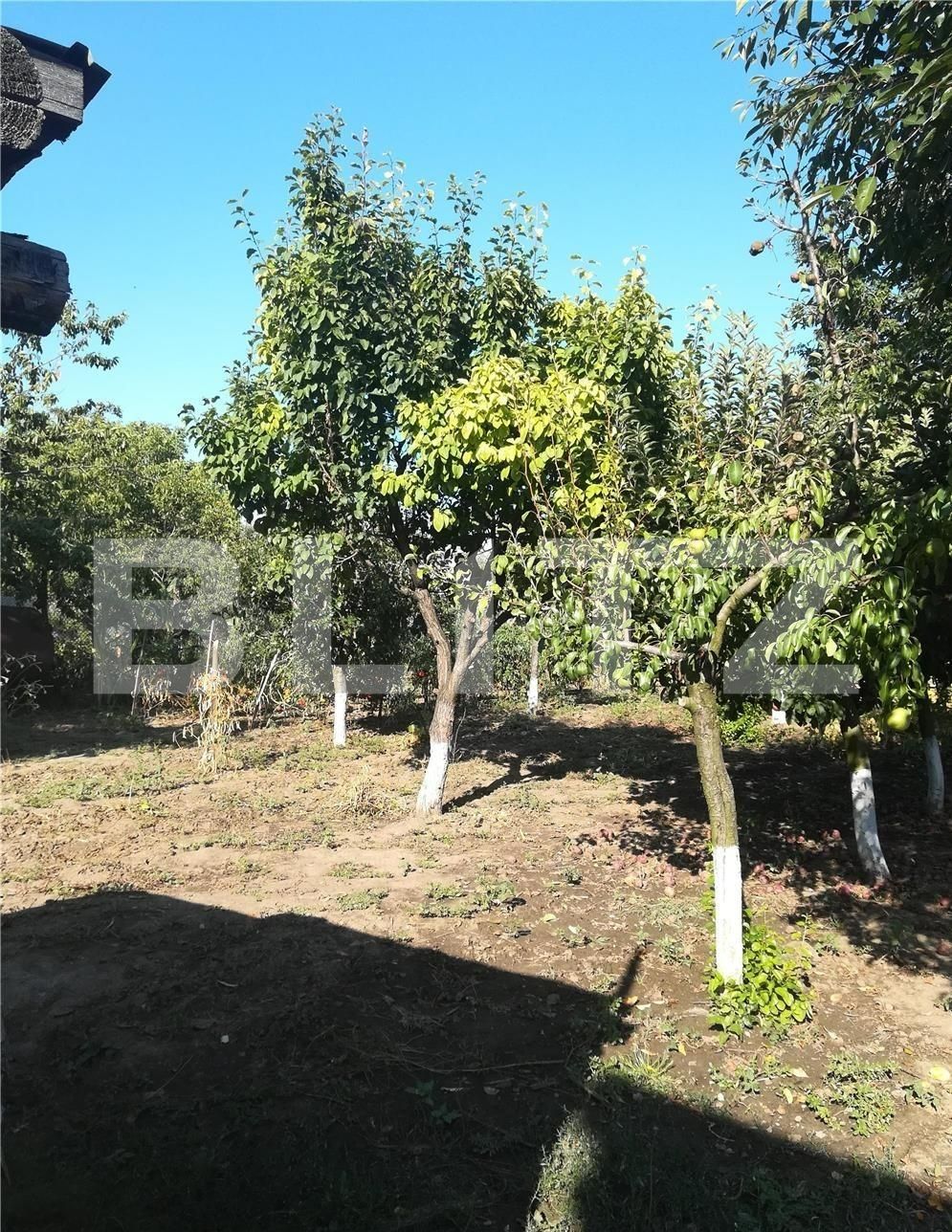 Casa de vânzare 5 camere Vest - 83247CV | BLITZ Iași | Poza7