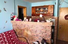 Camera de camin, 19 mp, zona Palas