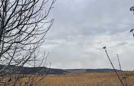 Teren intravilan de 15660 mp, zona Dancu - Tomesti