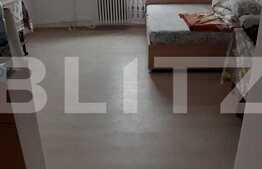 Garsoniera de 20 mp, etaj intermediar, zona Canta