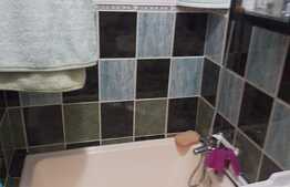 Camera de camin, 21 mp, zona Bularga